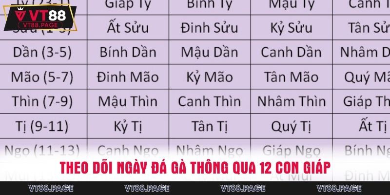 Theo dõi ngày đá gà thông qua 12 con giáp